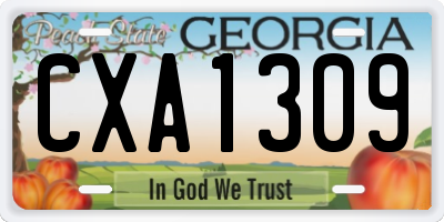 GA license plate CXA1309