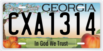 GA license plate CXA1314