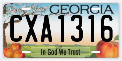 GA license plate CXA1316