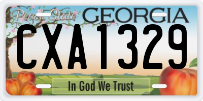 GA license plate CXA1329