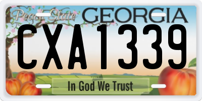 GA license plate CXA1339