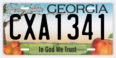 GA license plate CXA1341