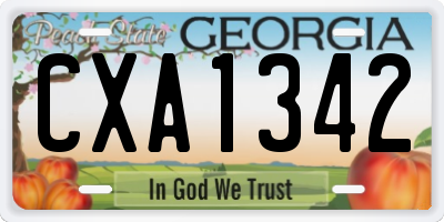 GA license plate CXA1342