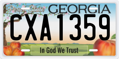 GA license plate CXA1359
