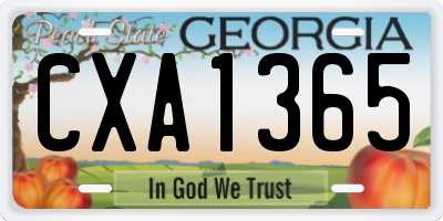 GA license plate CXA1365