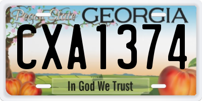 GA license plate CXA1374