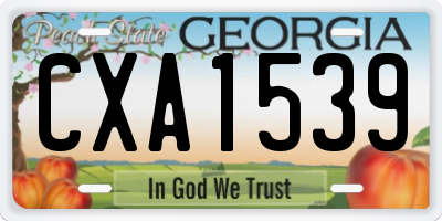 GA license plate CXA1539