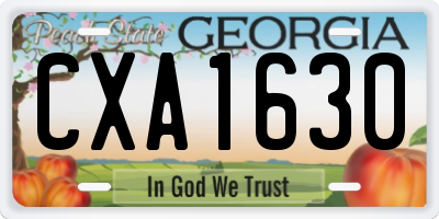 GA license plate CXA1630