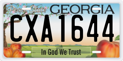 GA license plate CXA1644