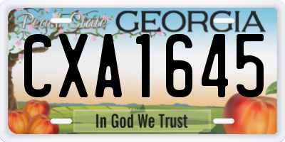 GA license plate CXA1645