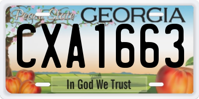 GA license plate CXA1663