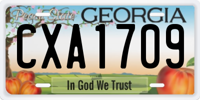 GA license plate CXA1709