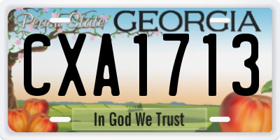 GA license plate CXA1713