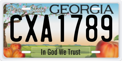 GA license plate CXA1789