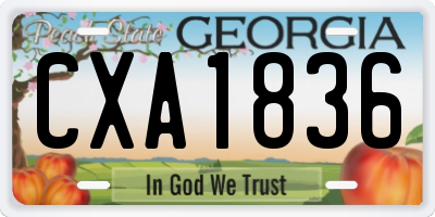 GA license plate CXA1836