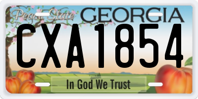 GA license plate CXA1854