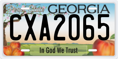 GA license plate CXA2065