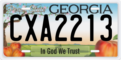 GA license plate CXA2213