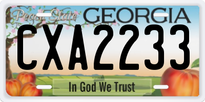 GA license plate CXA2233