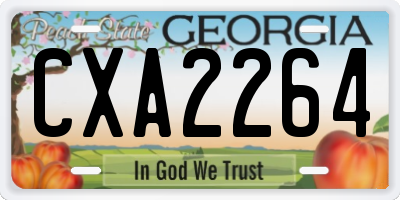 GA license plate CXA2264