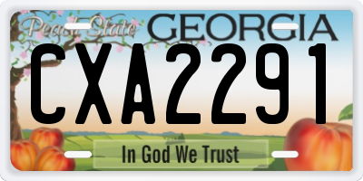 GA license plate CXA2291
