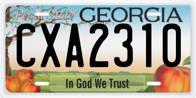 GA license plate CXA2310