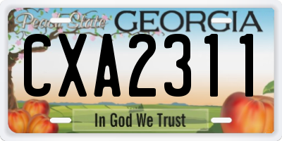 GA license plate CXA2311