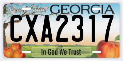 GA license plate CXA2317