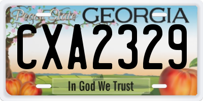 GA license plate CXA2329