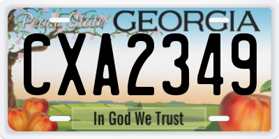 GA license plate CXA2349