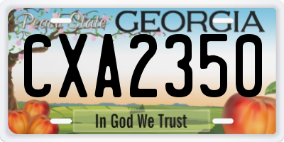 GA license plate CXA2350