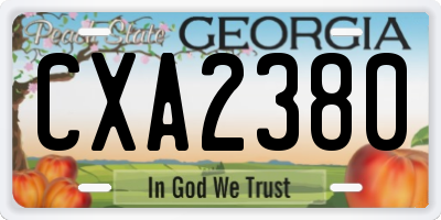GA license plate CXA2380