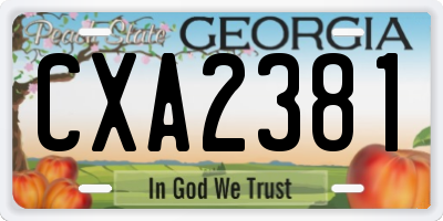 GA license plate CXA2381