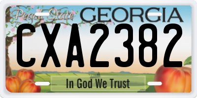 GA license plate CXA2382