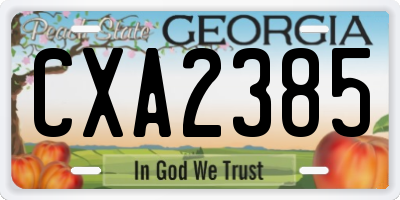 GA license plate CXA2385