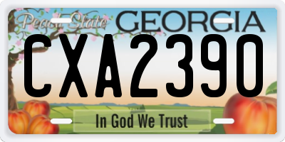 GA license plate CXA2390