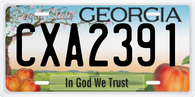 GA license plate CXA2391