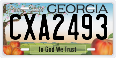GA license plate CXA2493