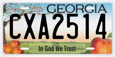 GA license plate CXA2514