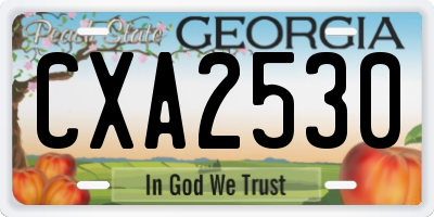 GA license plate CXA2530