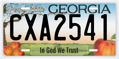 GA license plate CXA2541