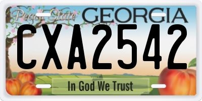 GA license plate CXA2542