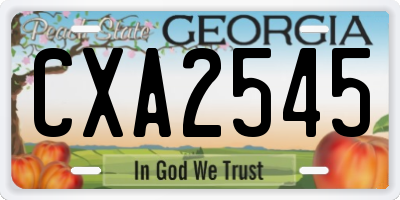 GA license plate CXA2545