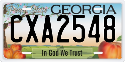 GA license plate CXA2548