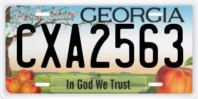 GA license plate CXA2563