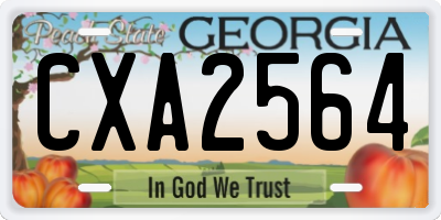 GA license plate CXA2564