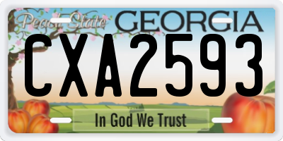 GA license plate CXA2593
