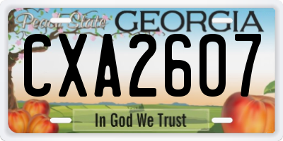 GA license plate CXA2607