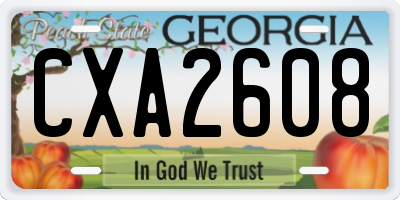 GA license plate CXA2608