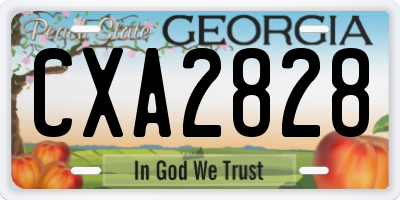 GA license plate CXA2828